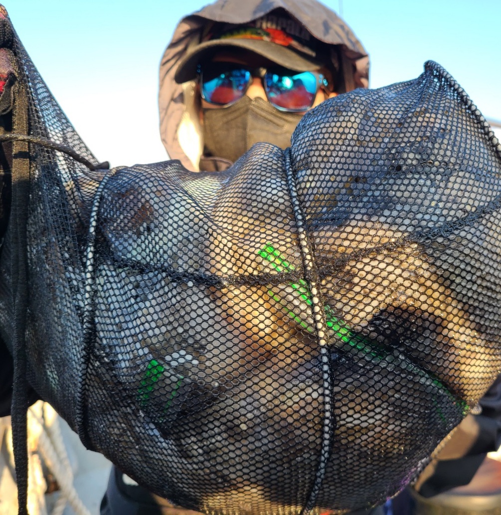 10월9일 뉴대성호 주꾸미조황