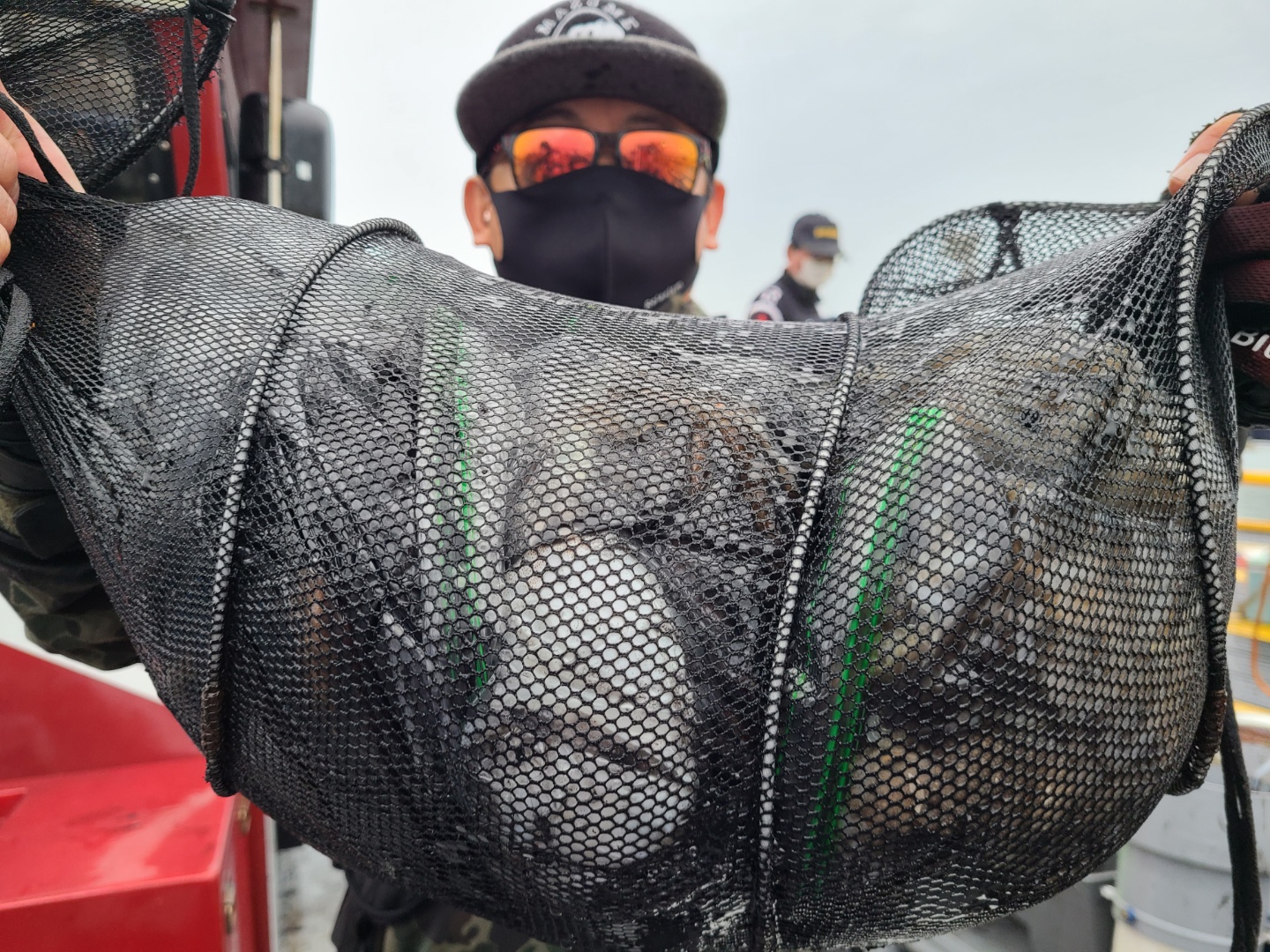 10월8일 뉴대성호 주꾸미조황