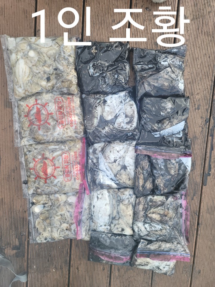 10월 11일 대성2호 쭈꾸미조황