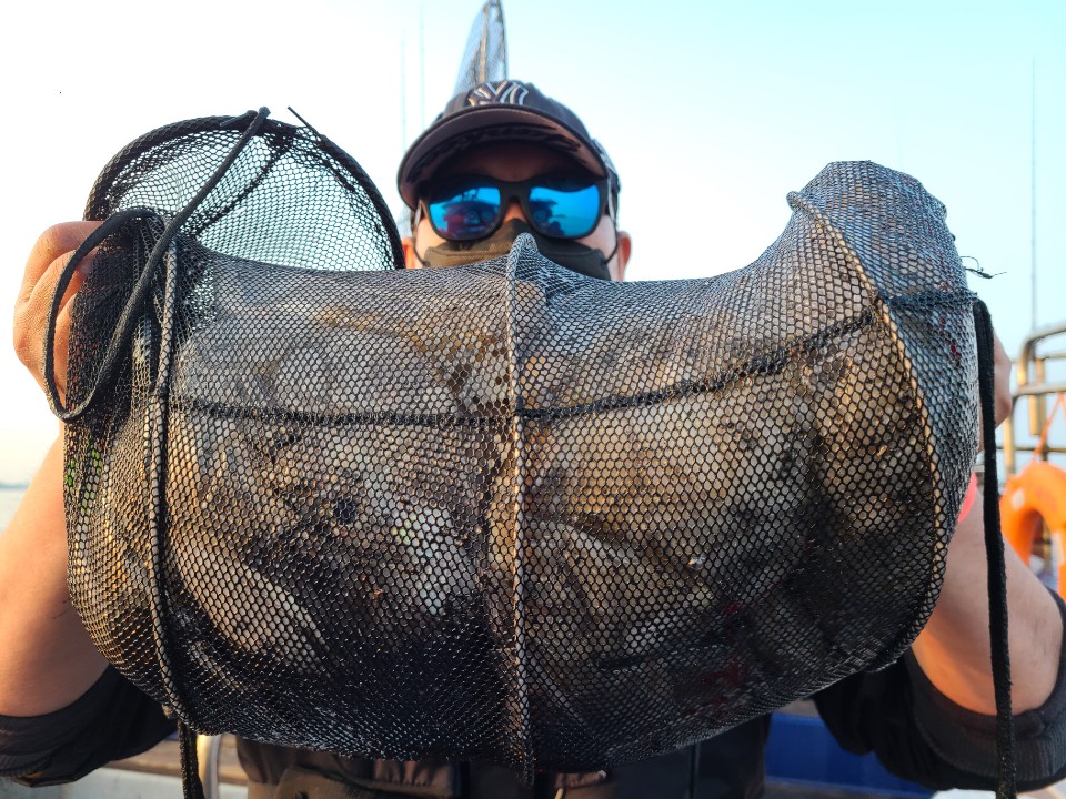 10월31일 뉴대성호 주꾸미조황