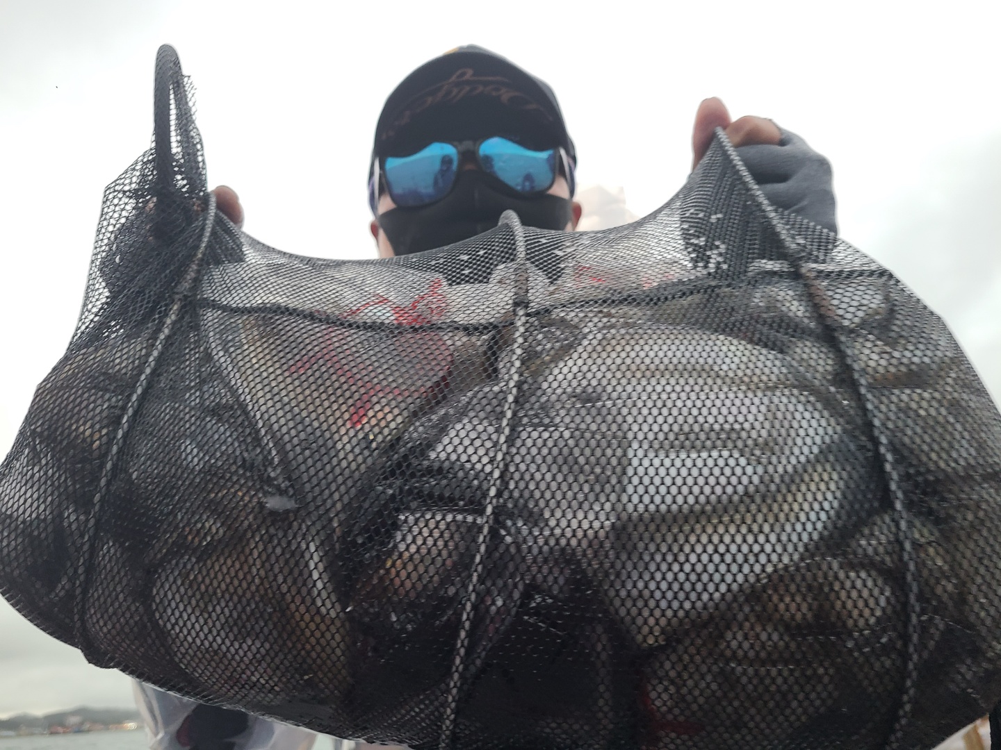 10월10일 뉴대성호 주꾸미조황