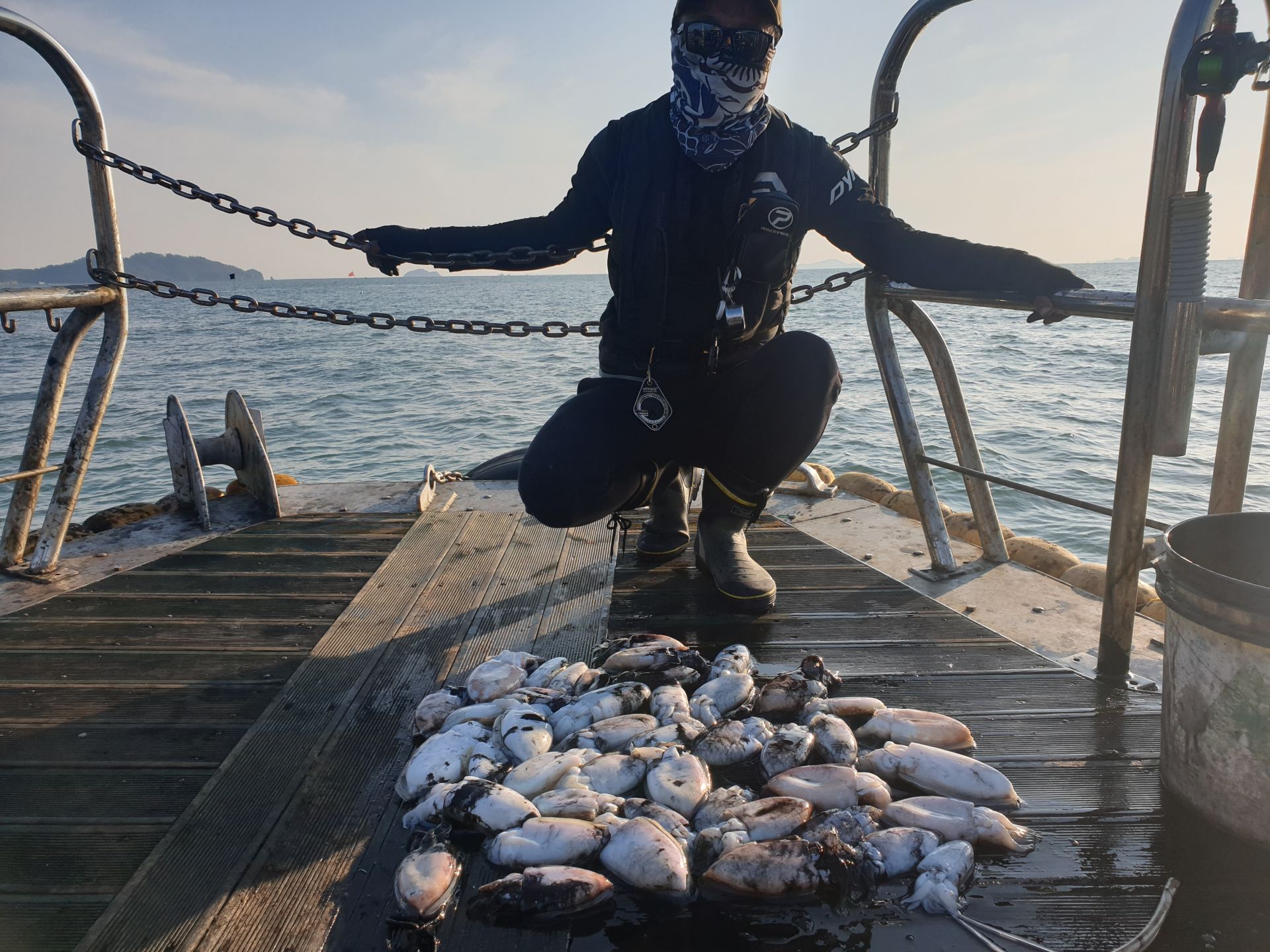 10월24일 대양호 갑오징어 조황
