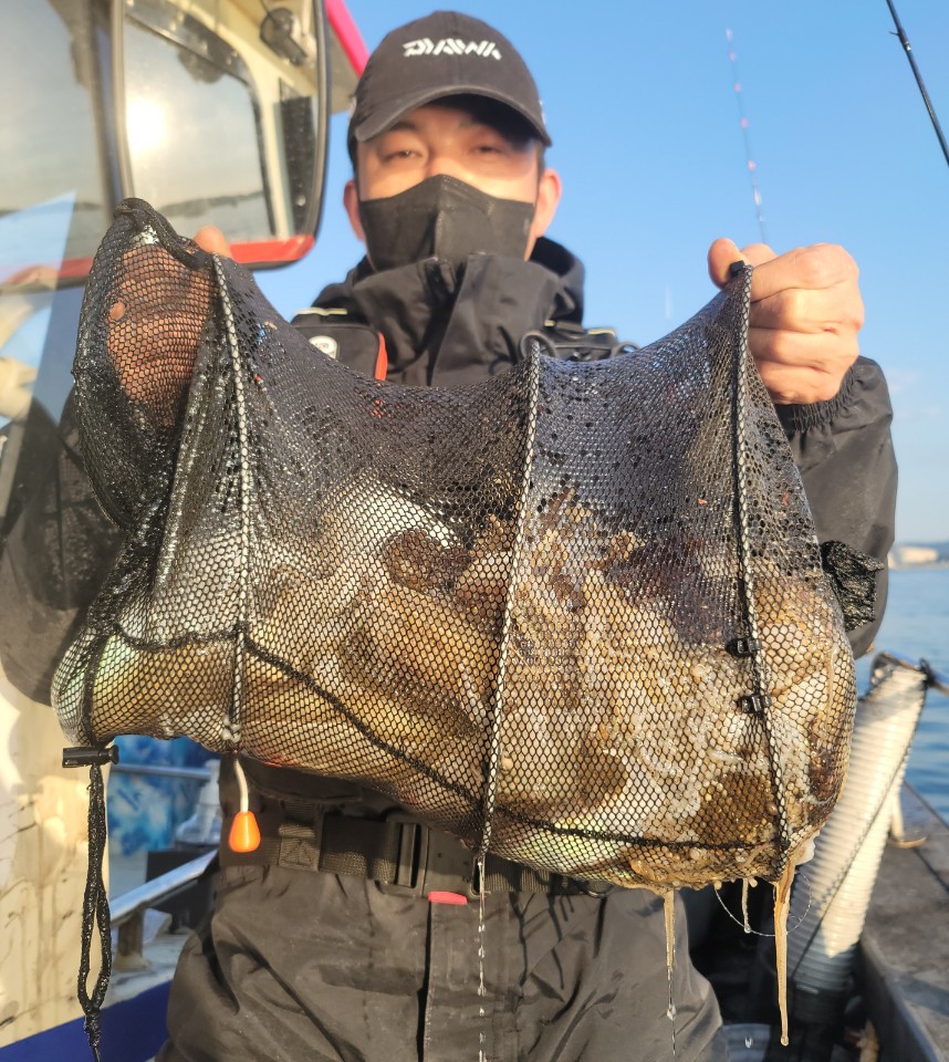 10월 29일 대성2호 쭈꾸미조황