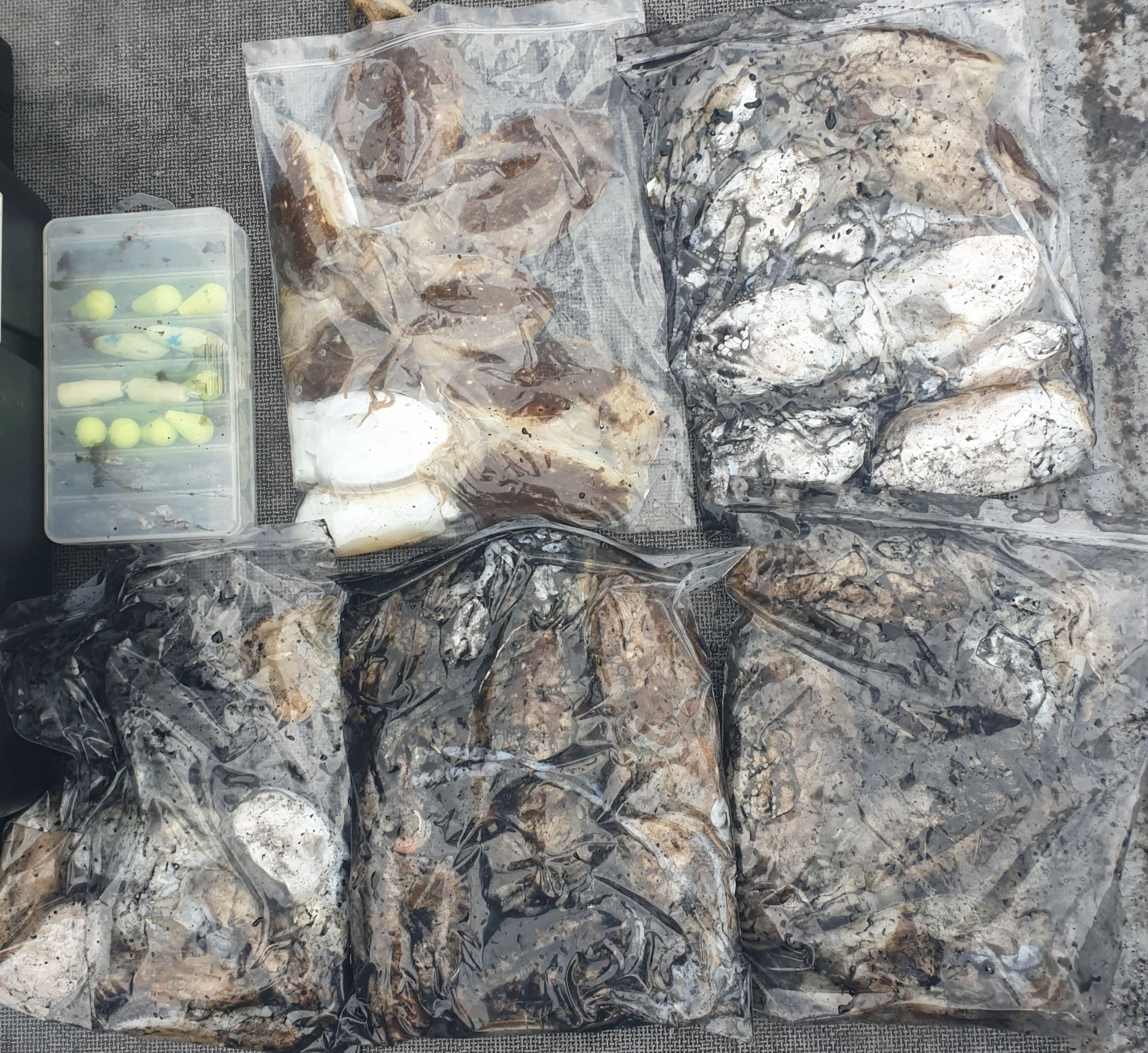 10월7일 동백호 갑오징어  조황