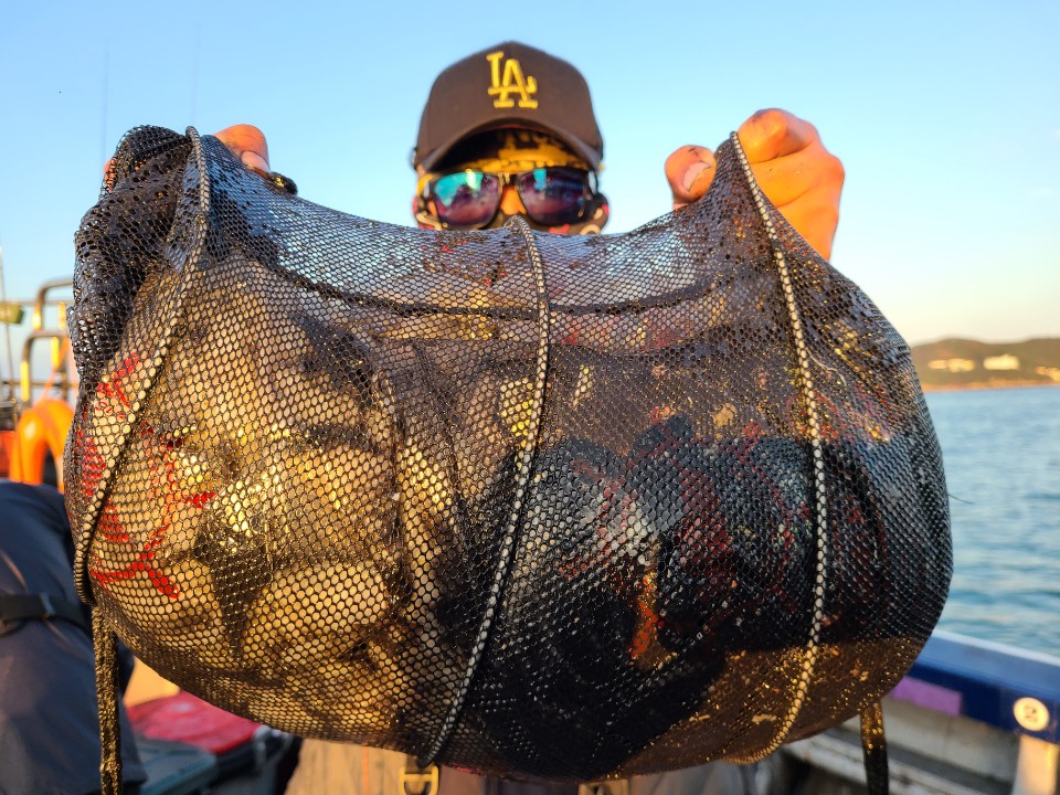 10월29일 뉴대성호 주꾸미조황