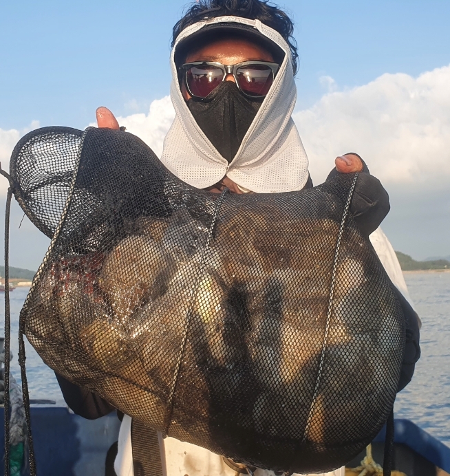 10월 9일 대성호 주꾸미조황입니다