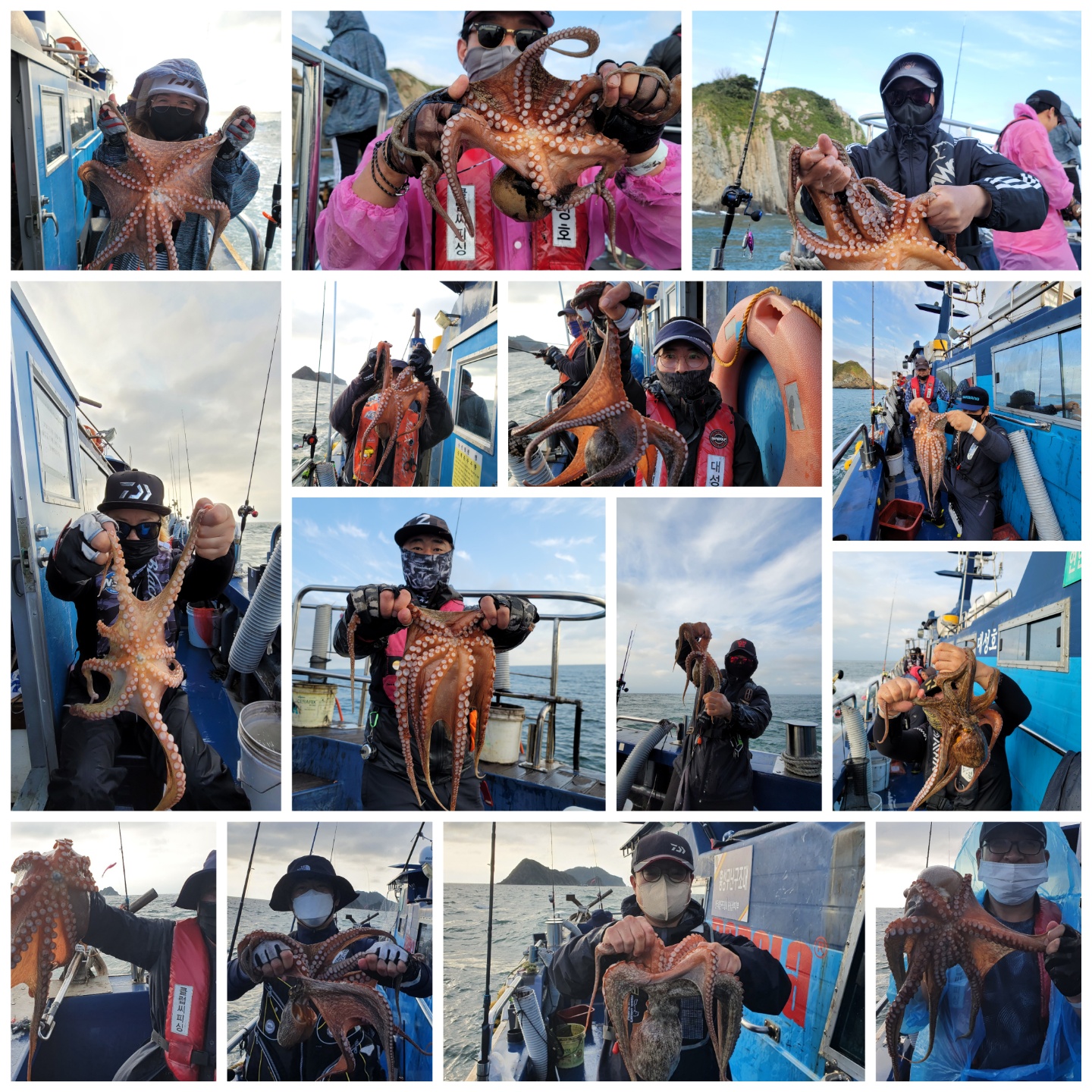 10월 7일 대성호 문어조황입니다