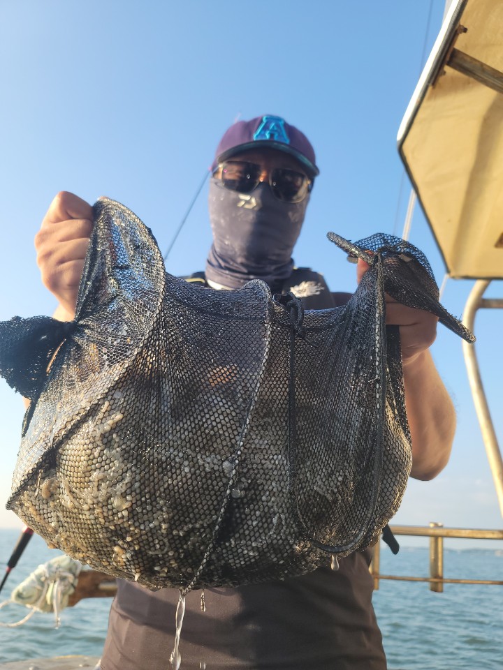 10월 9일 대성2호 쭈꾸미 조황