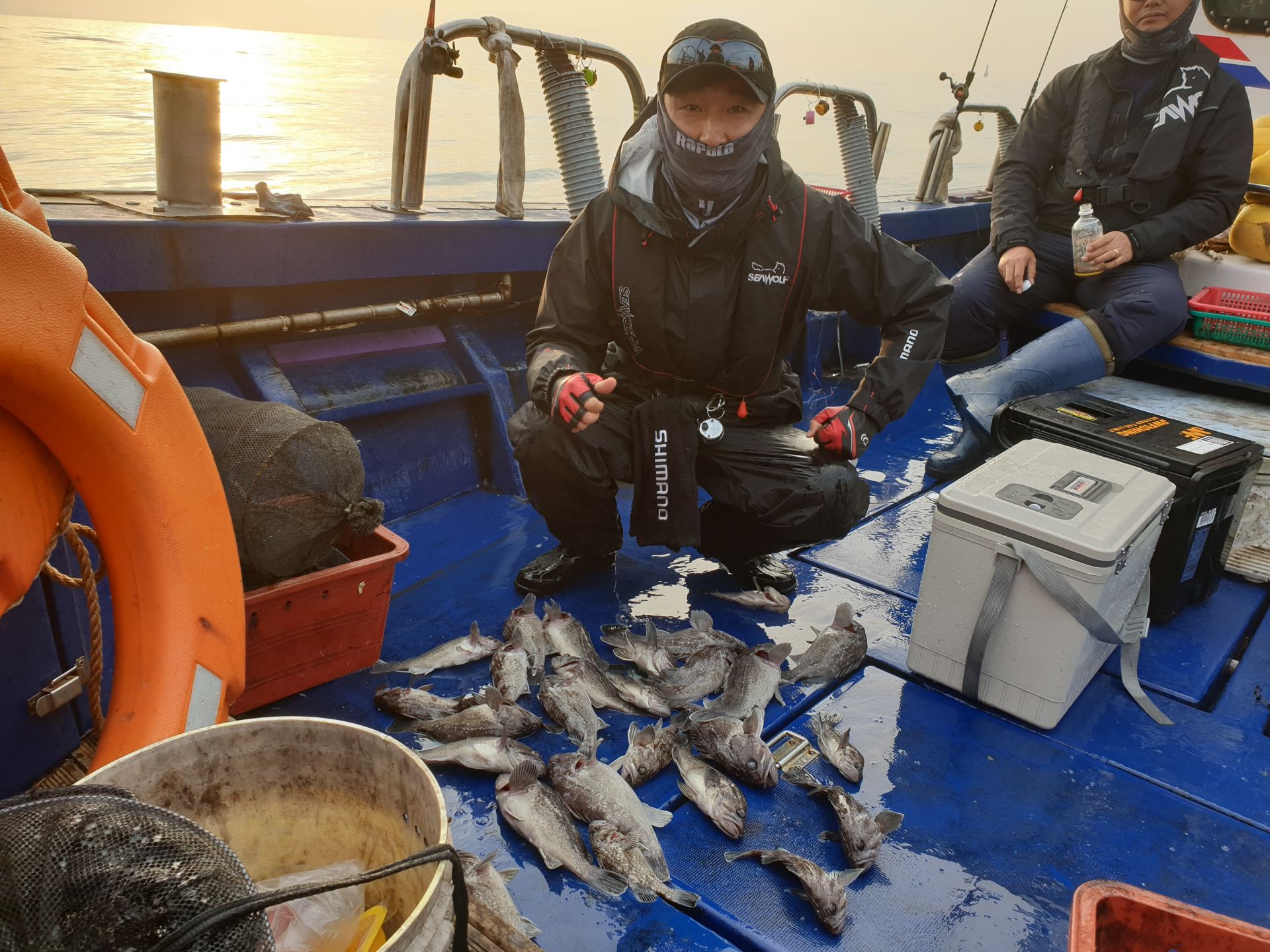 11월28일 대양호 중외만 우럭 조황