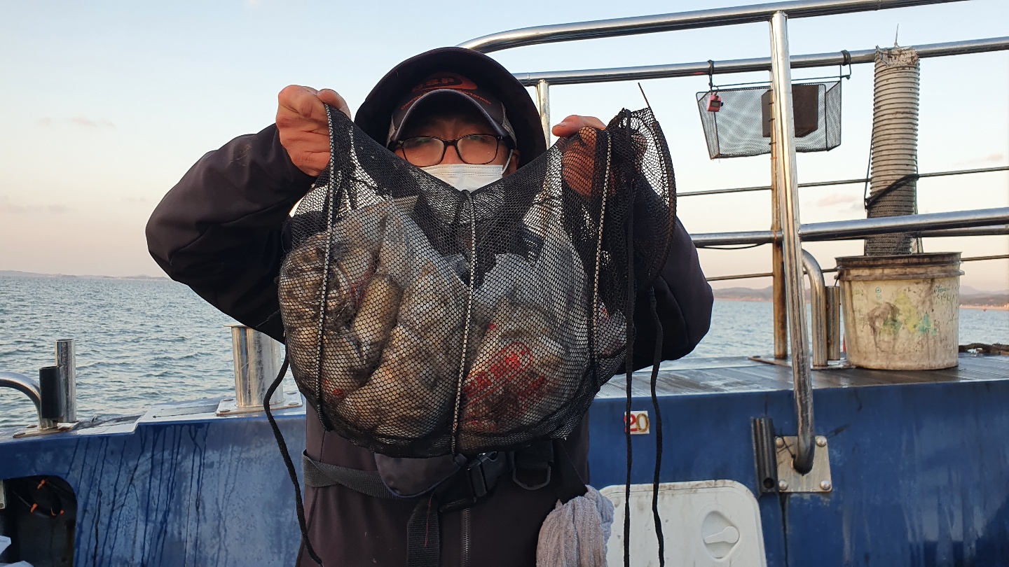 11월 13일 대성호 주꾸미조황입니다