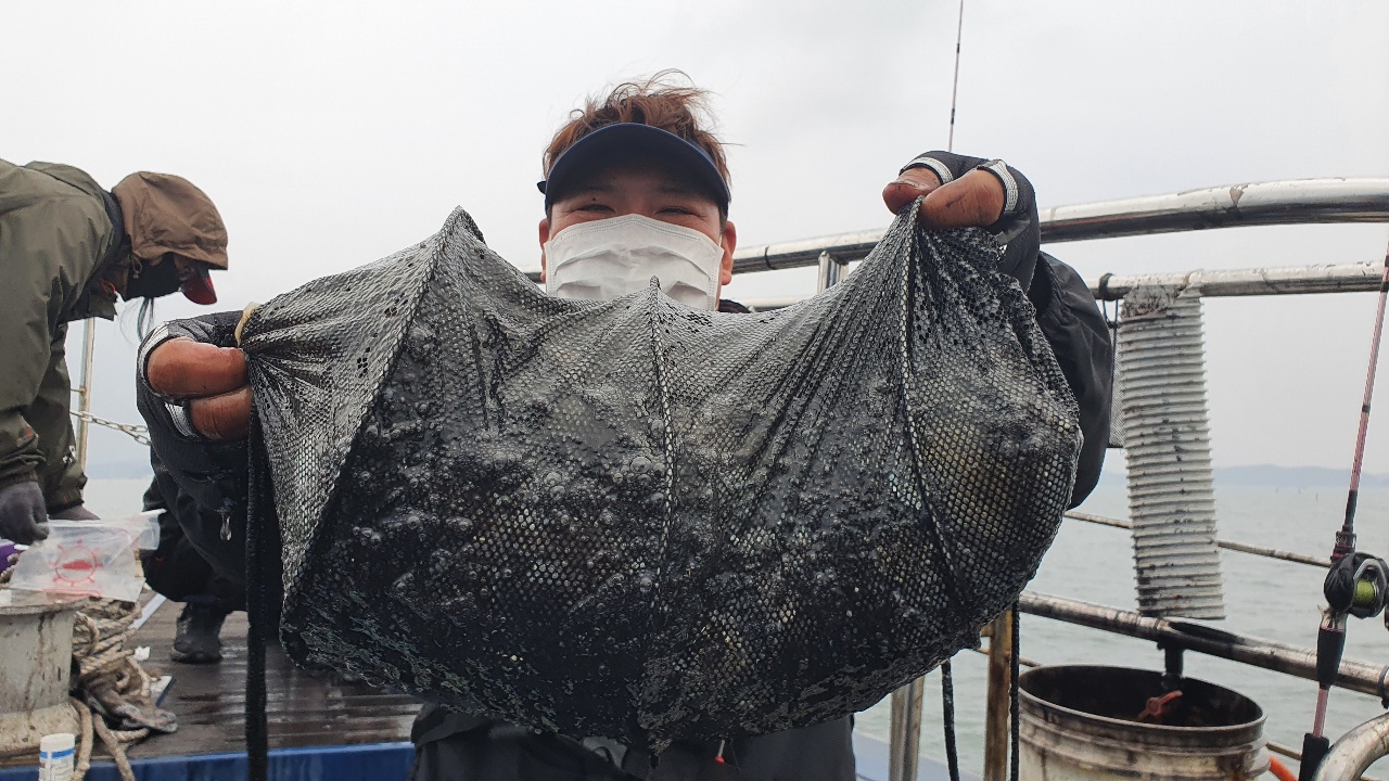 11월 4일 대성호 주꾸미조황입니다