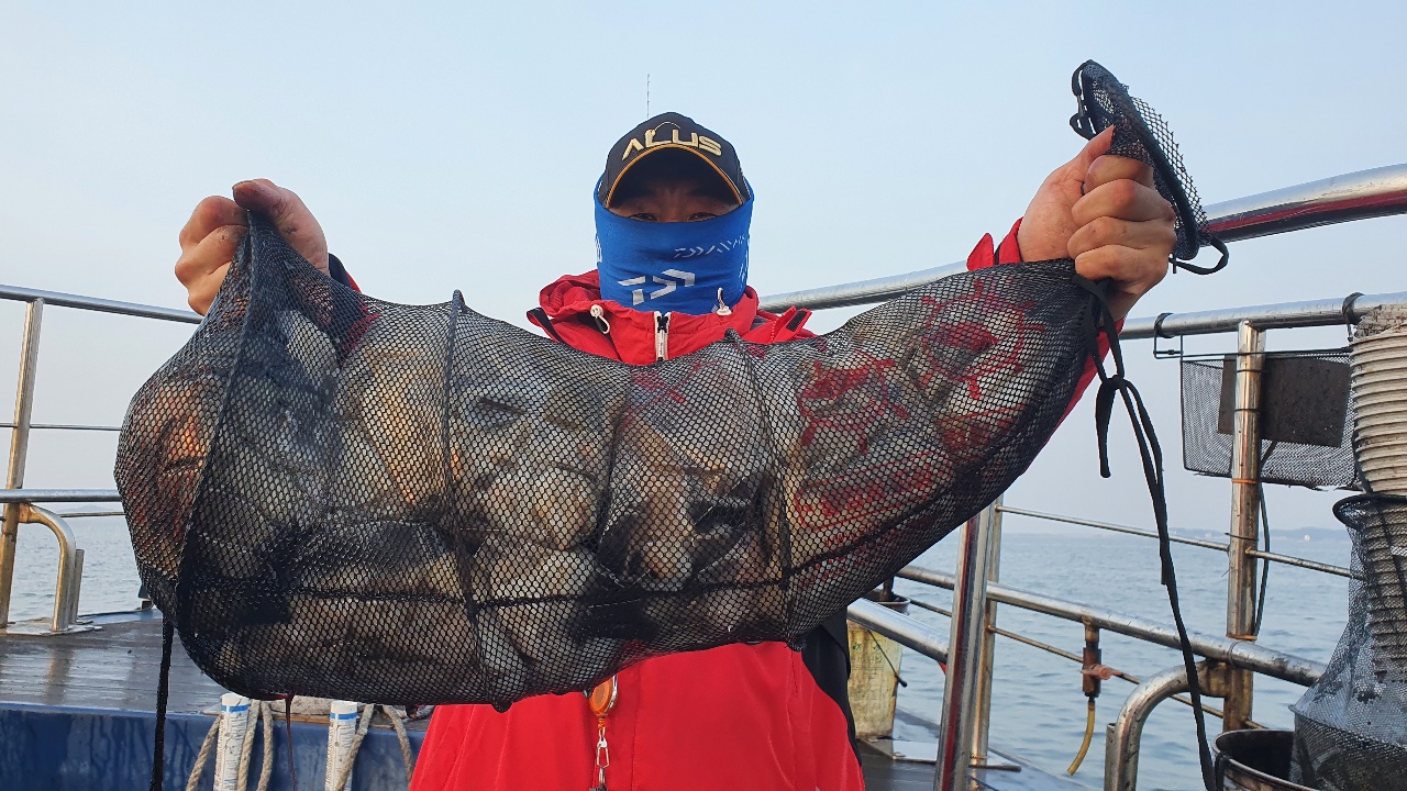 11월 3일 대성호 주꾸미조황