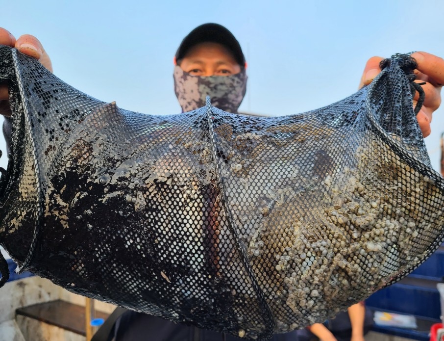 11월3일 뉴대성호 주꾸미조황