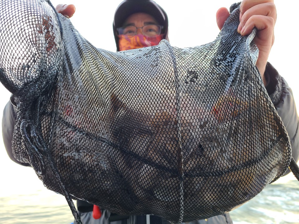 11월28일 뉴대성호 주꾸미조황