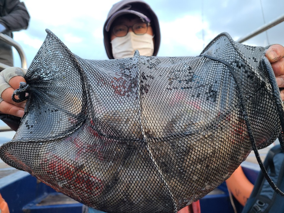 11월26일 뉴대성호 주꾸미조황