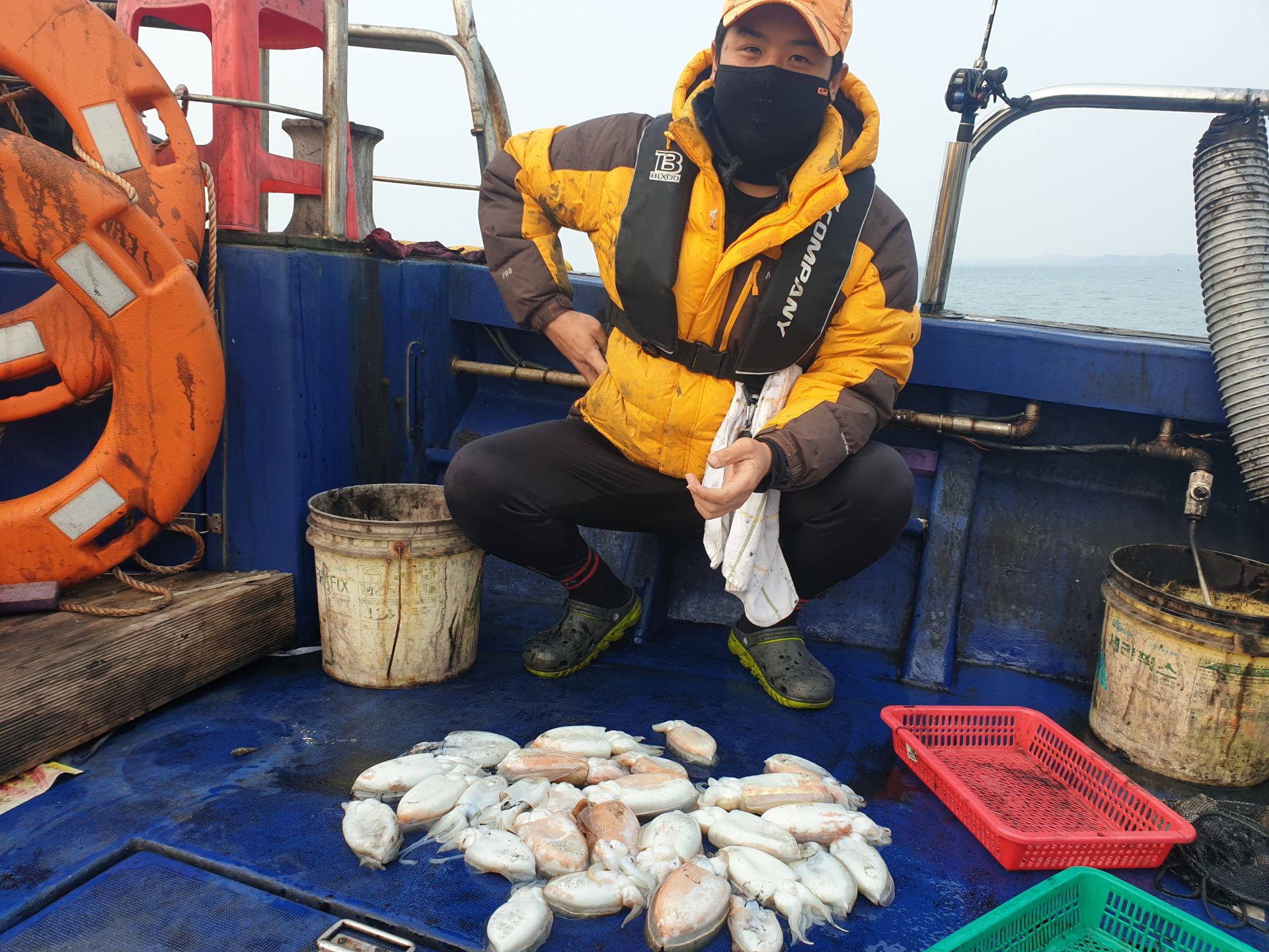 11월3일 대양호 갑오징어 조황