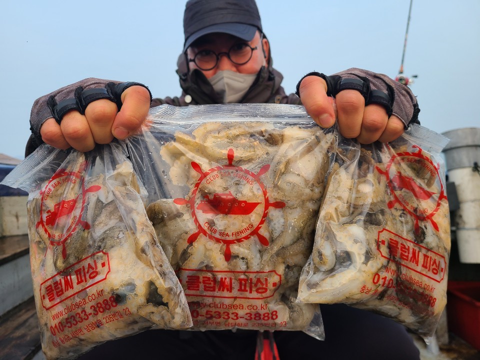 11월19일 뉴대성호 주꾸미조황