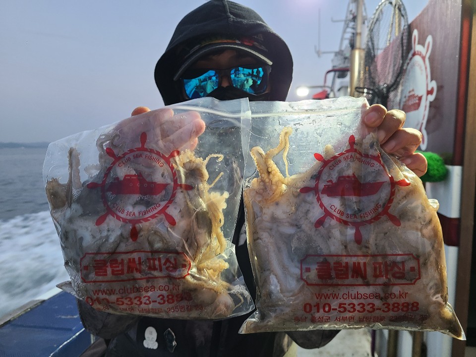 11월20일 뉴대성호 주꾸미조황