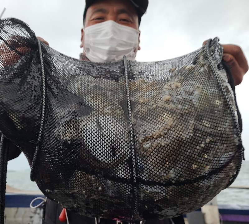 11월4일 뉴대성호 주꾸미조황