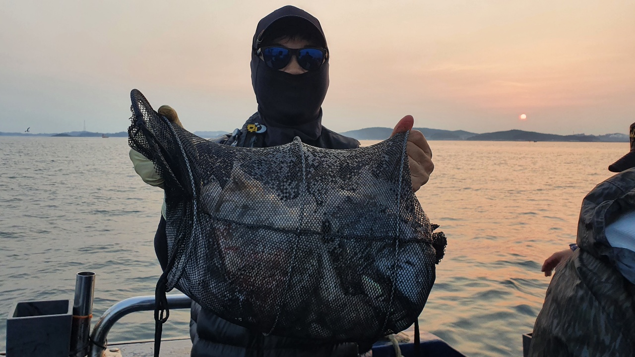 10월 31일~11월 1일 대성호 주꾸미조황