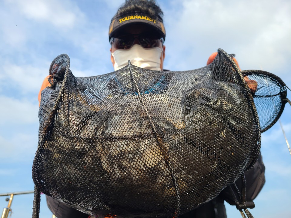 11월2일 뉴대성호 주꾸미조황