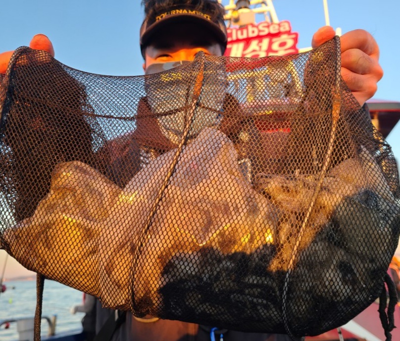 11월27일 뉴대성호 주꾸미조황