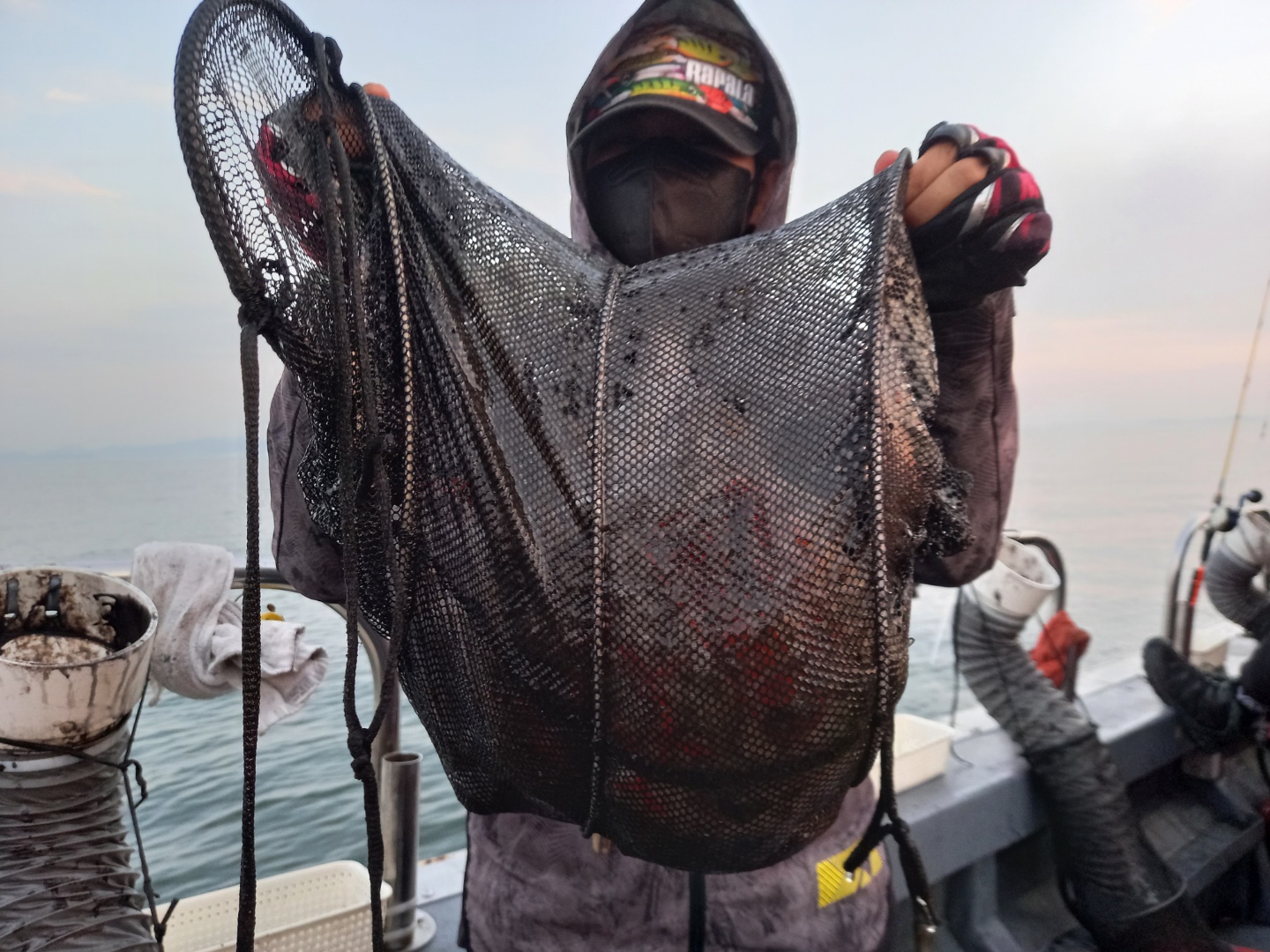 11월 6일 레드원호 주꾸미 조황