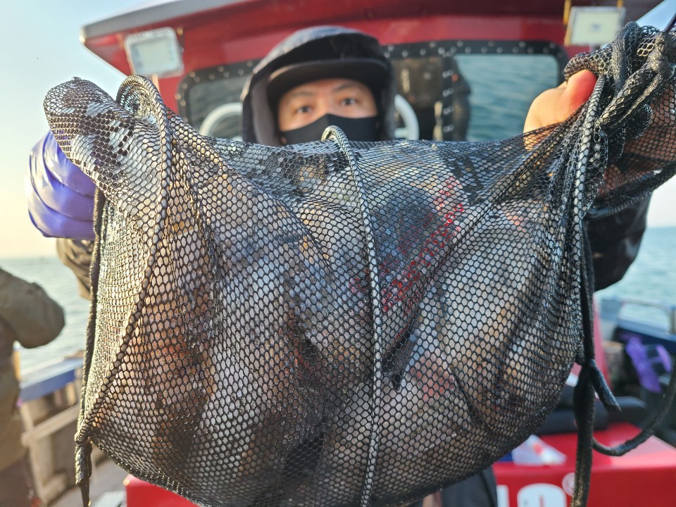 11월5일 뉴대성호 주꾸미조황