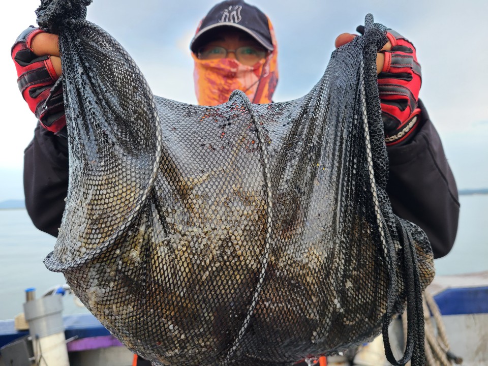 11월7일 뉴대성호 주꾸미조황