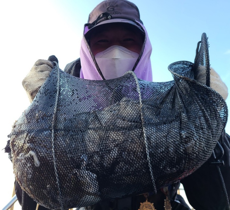 11월1일 뉴대성호 주꾸미조황