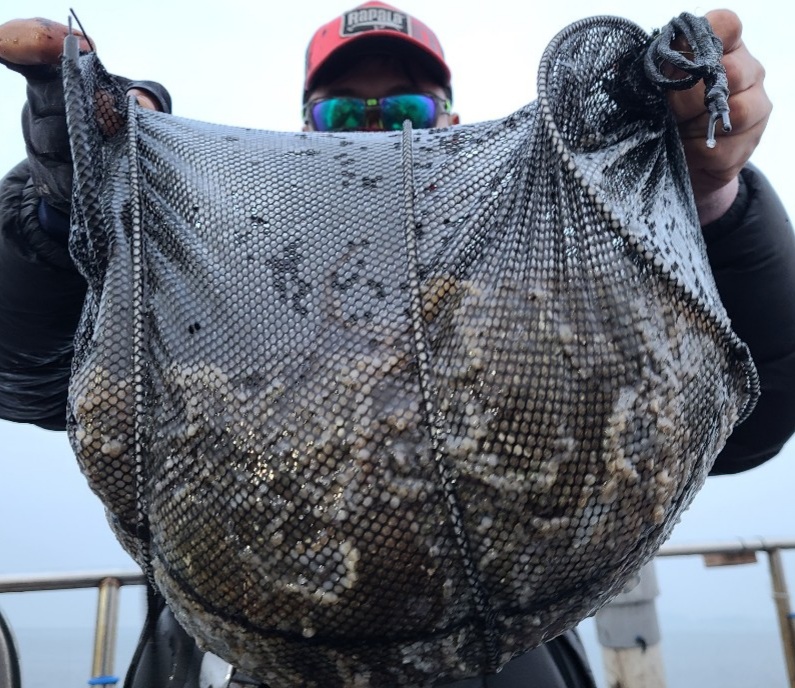 11월21일 뉴대성호 주꾸미조황