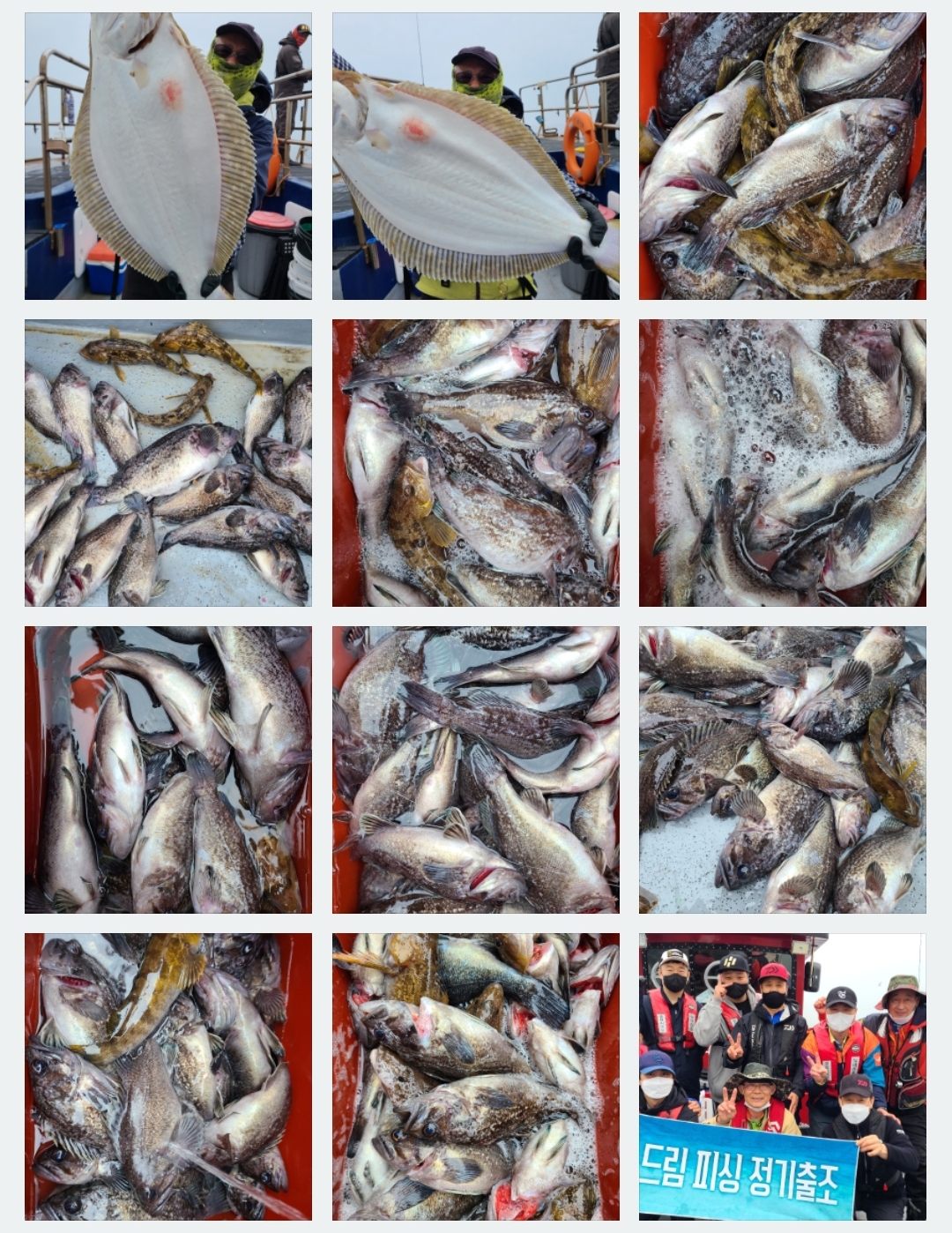 4월25일 뉴대성호 우럭조황