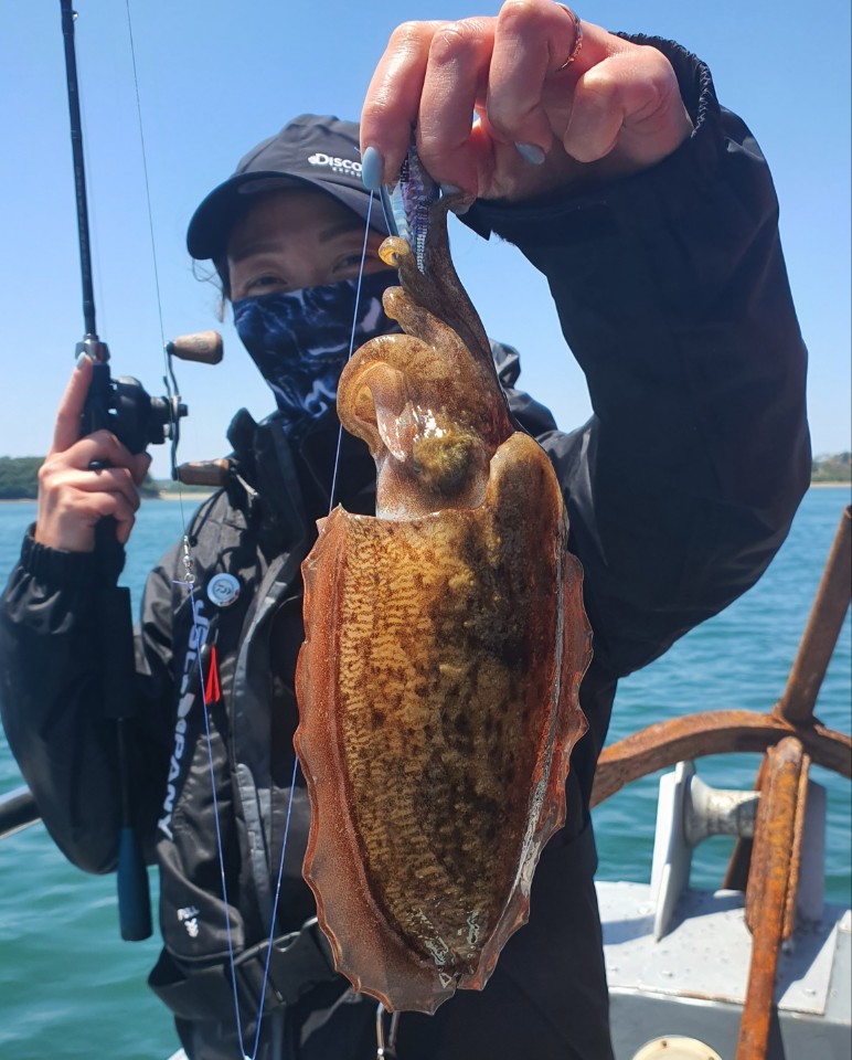 5월26일 레드원호(블루원 양태선장) 갑오징어 조황