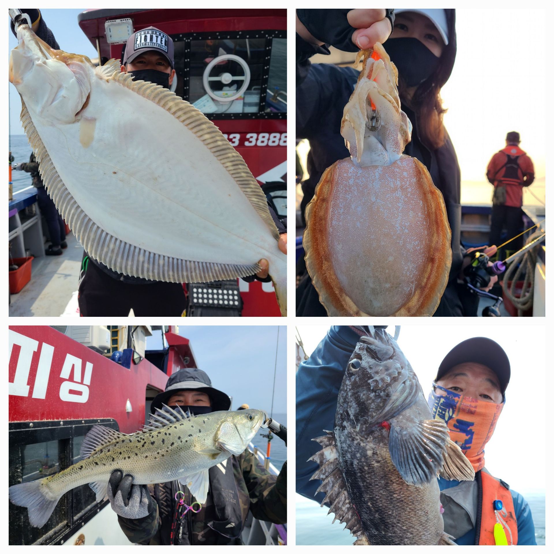 5월25일 뉴대성호 다잡아외수질