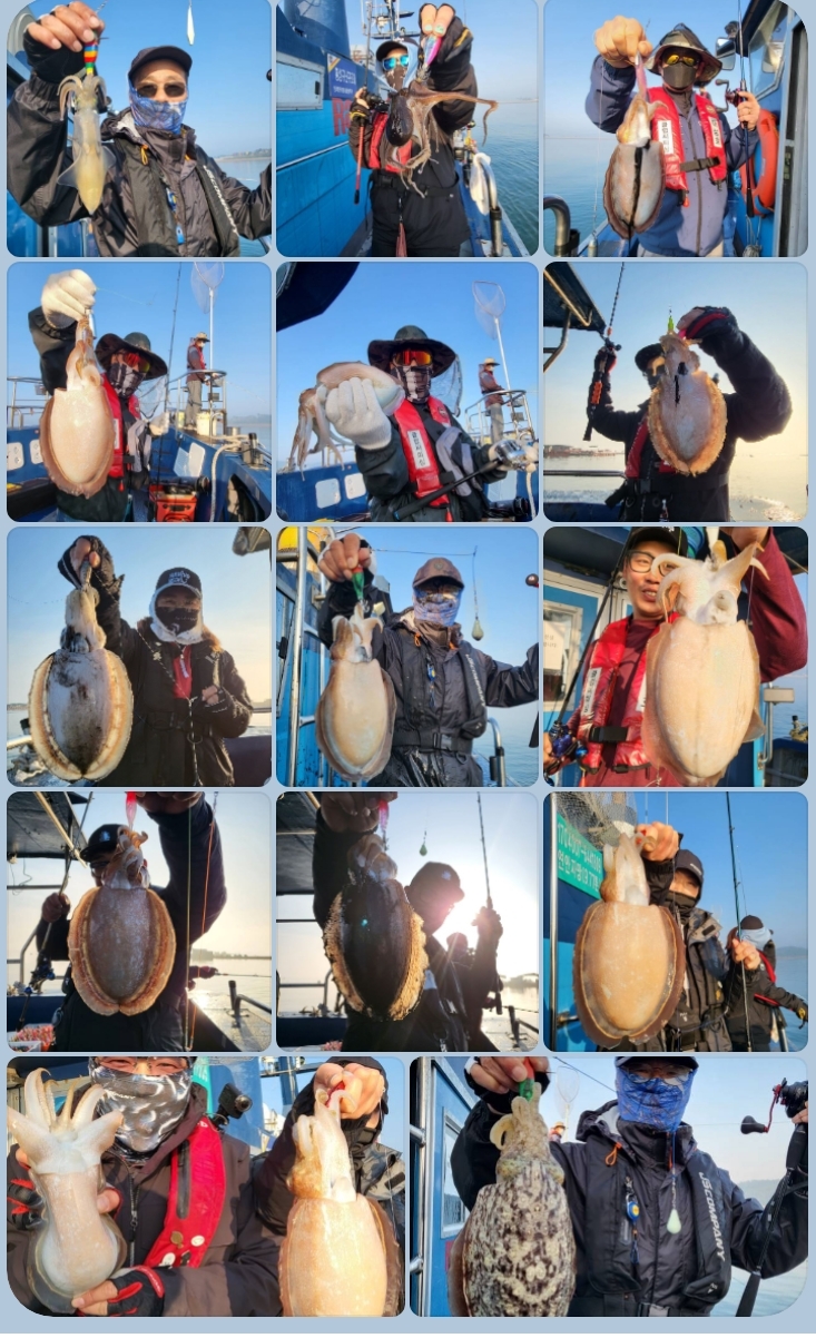 5월 24일 대성호 왕갑오징어 대박조황입니다