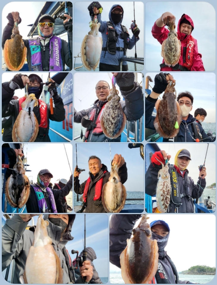 5월 28일 대성호 왕갑오징어 조황입니다