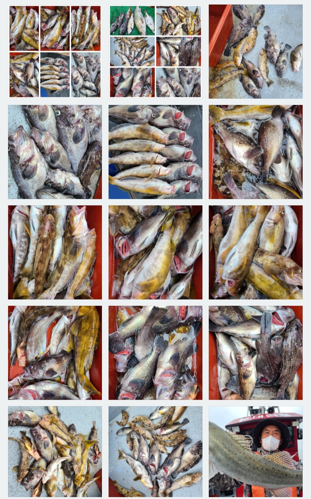 6월4일 뉴대성호 다잡아외수질 조황