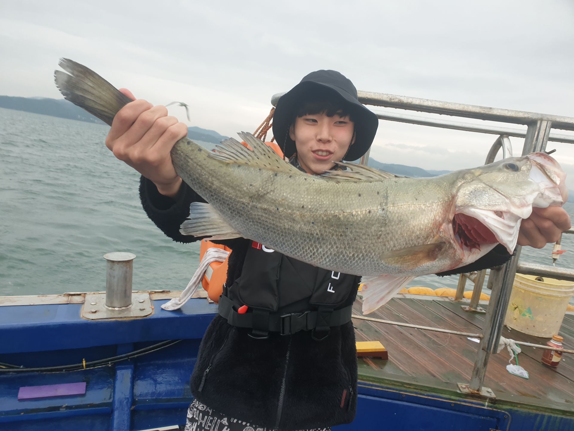 6월5일 대양호 외수질조황