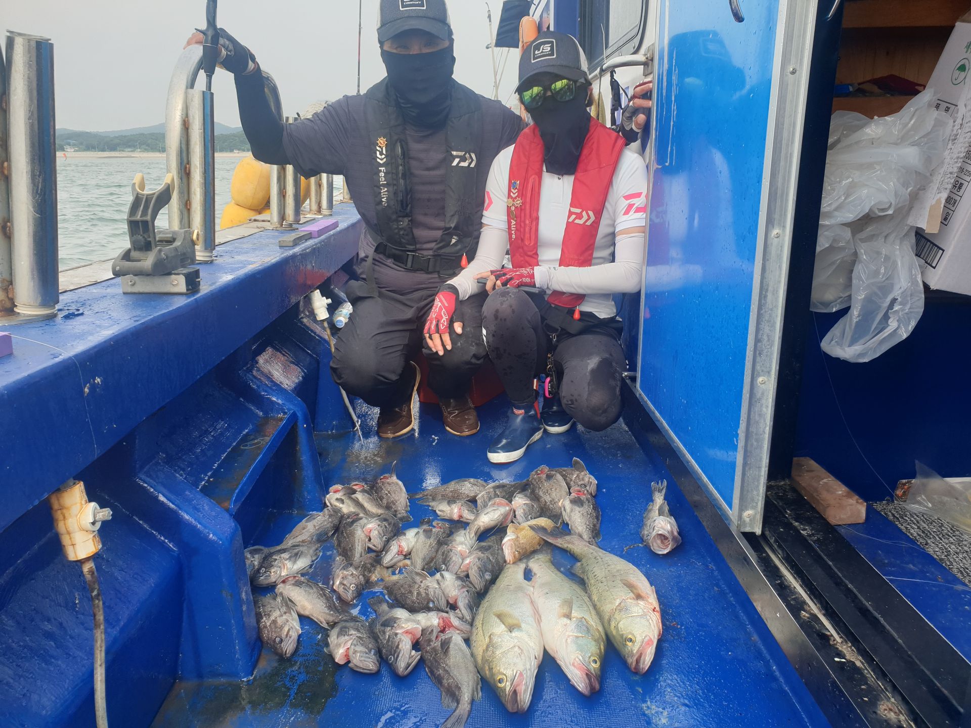 6월12일 대양호 외수질 조황