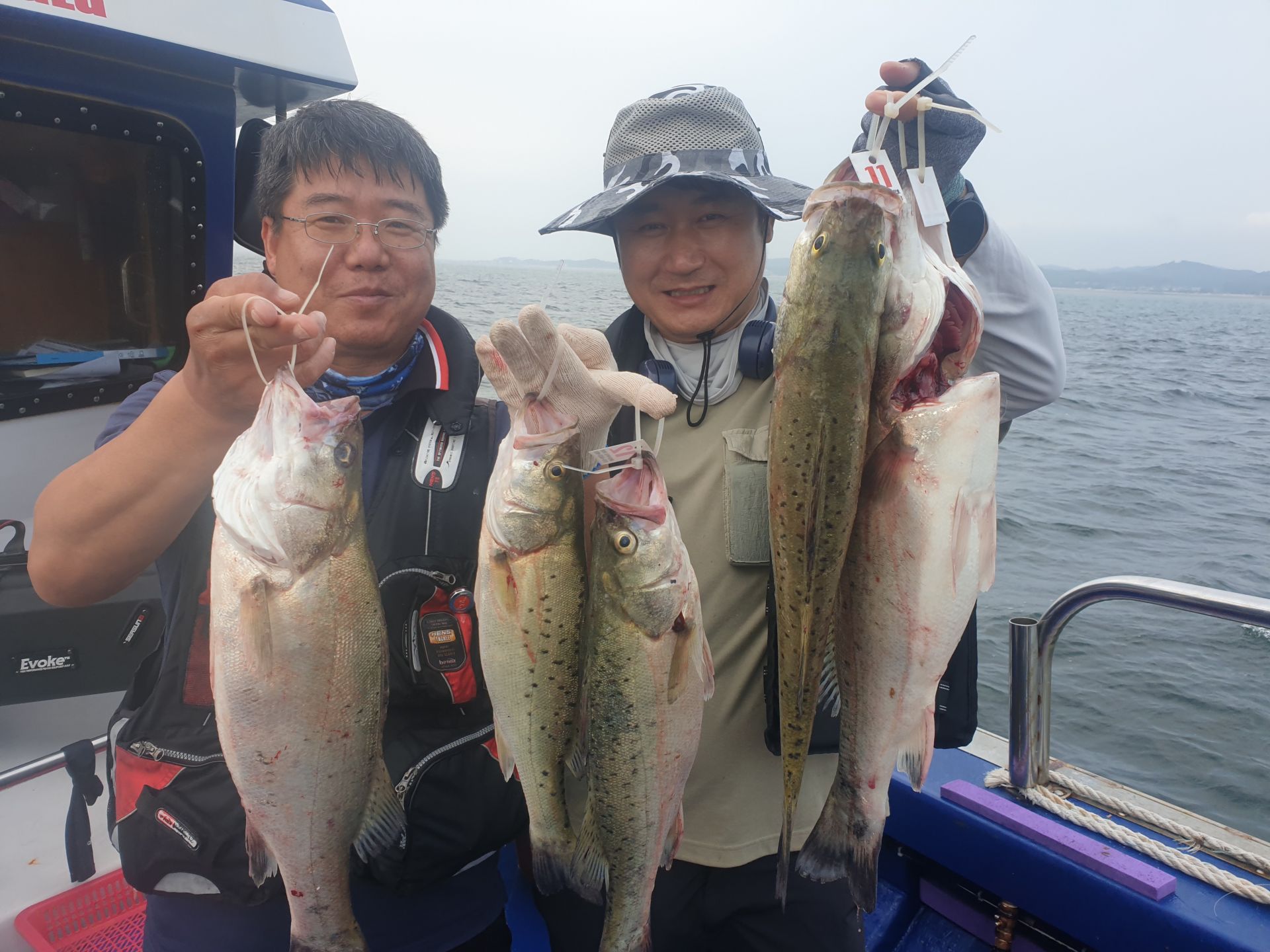 6월25일 대양호 외수질 조황