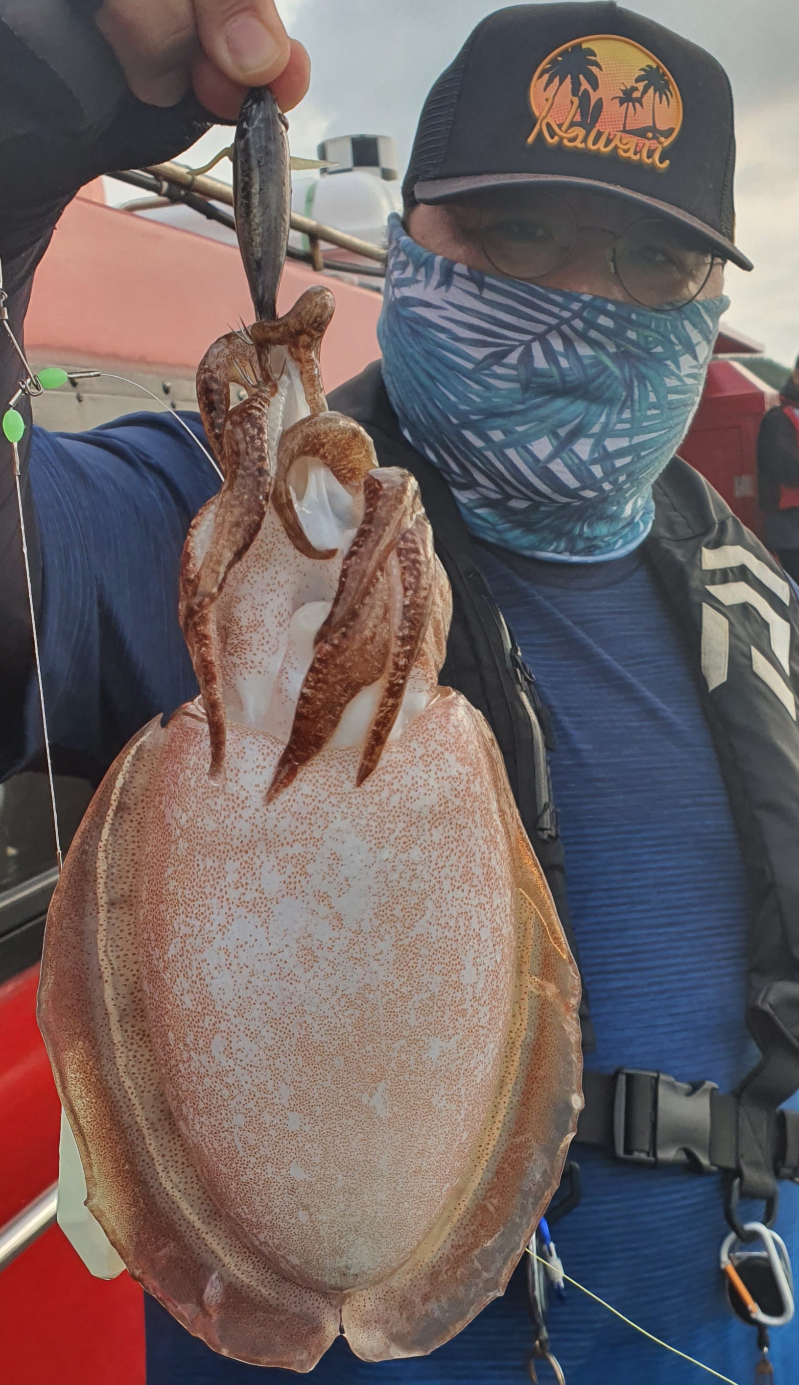 6월18일 레드원(블루원) 갑오징어 조황