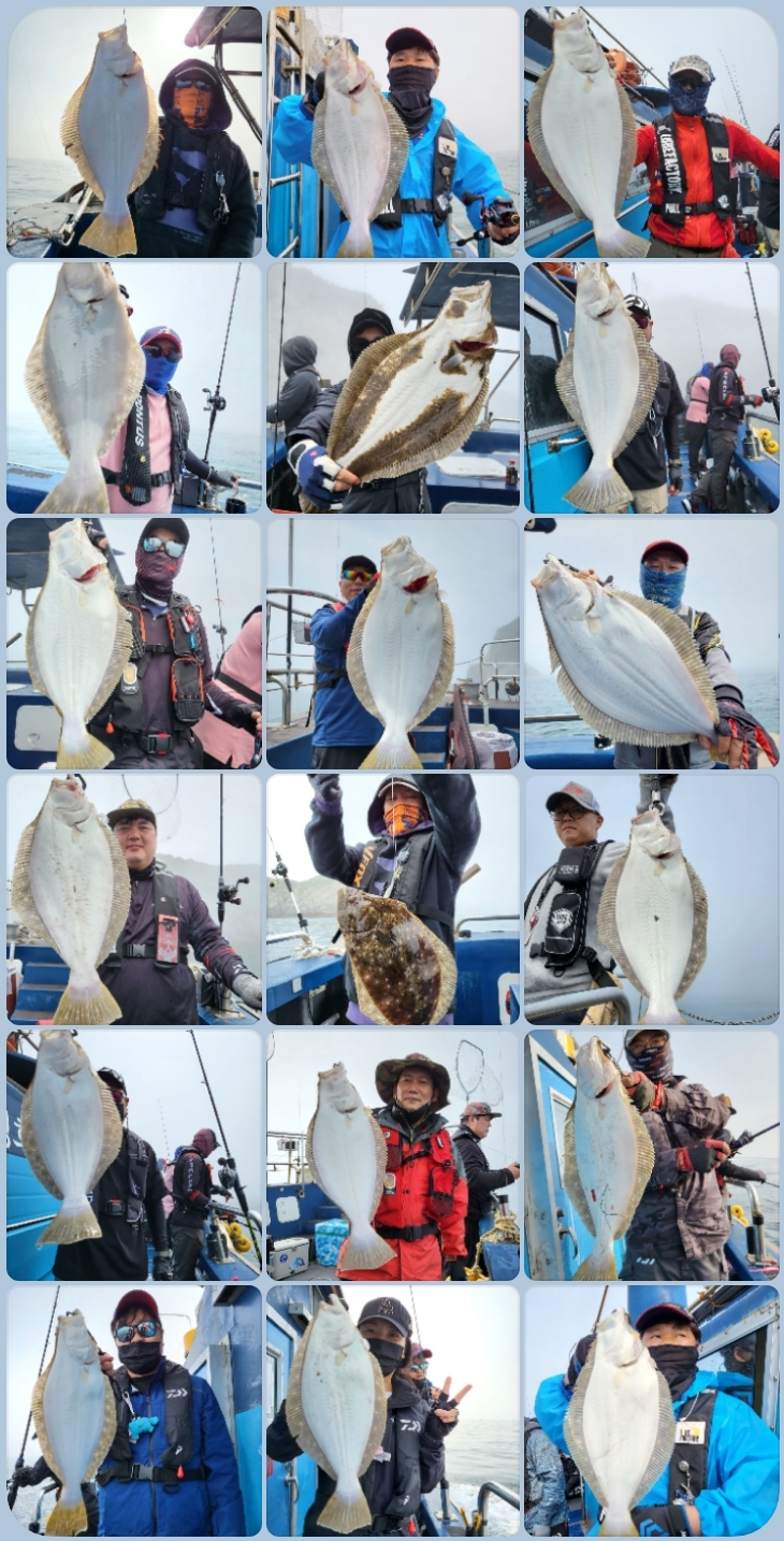 6월 4일 대성호 광어다운샷조황입니다