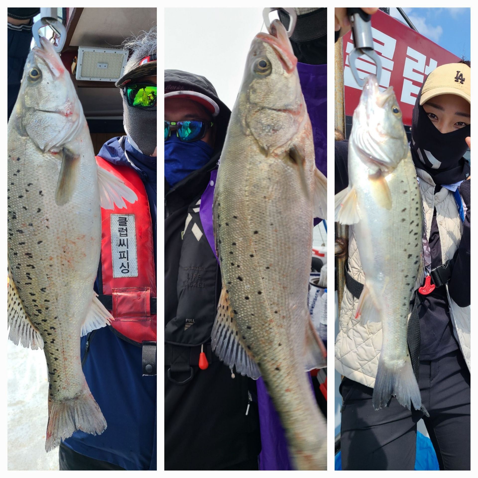 6월6일 뉴대성호 외수질조황