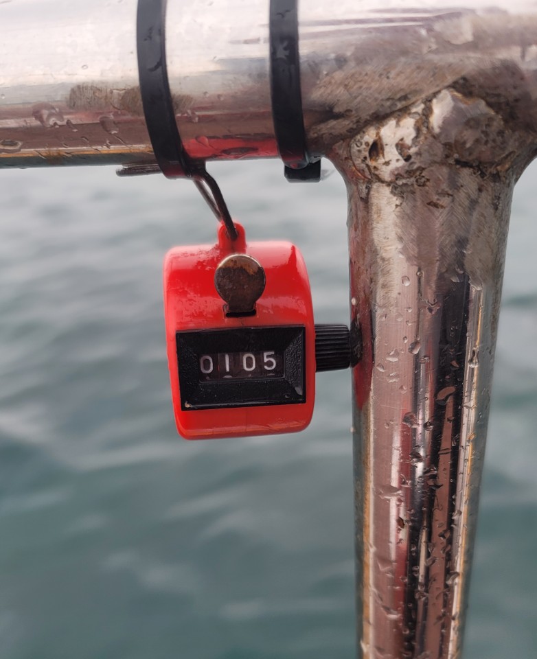 6월 5일 대성2호 놀래미 조황