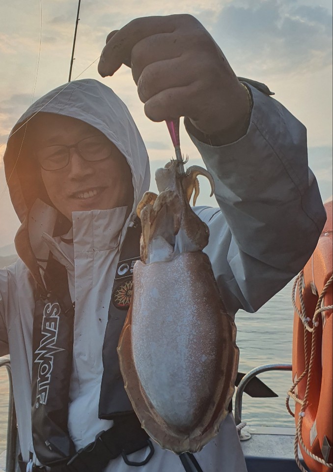 6월9일 레드원(블루원)갑오징어 조황