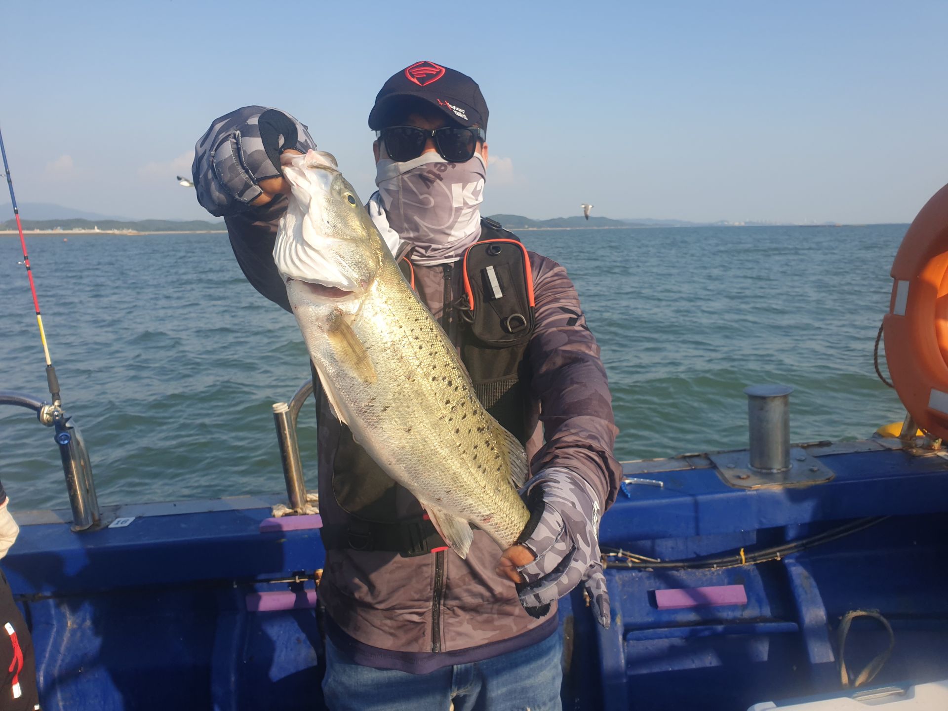 6월11일 대양호 외수질 조황