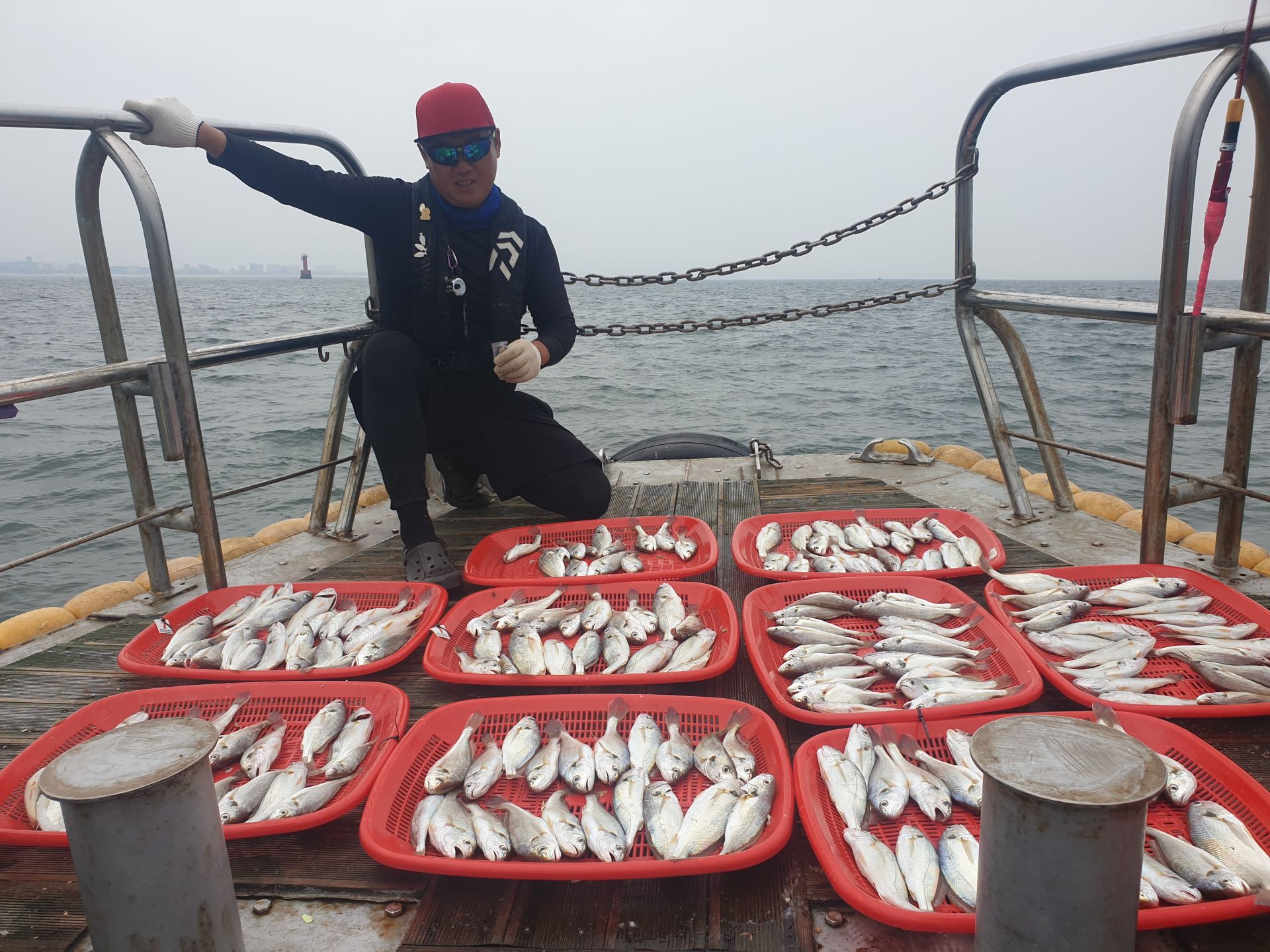 7월23일 대양호 백조기 조황