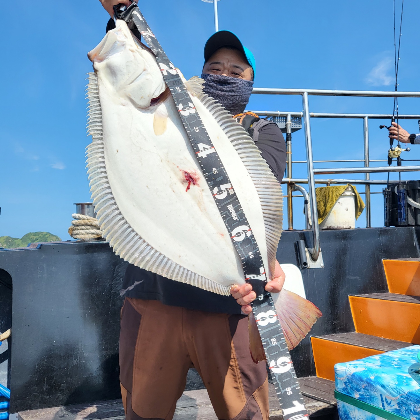 7월 16일 대성호 광어다운샷조황입니다 ~