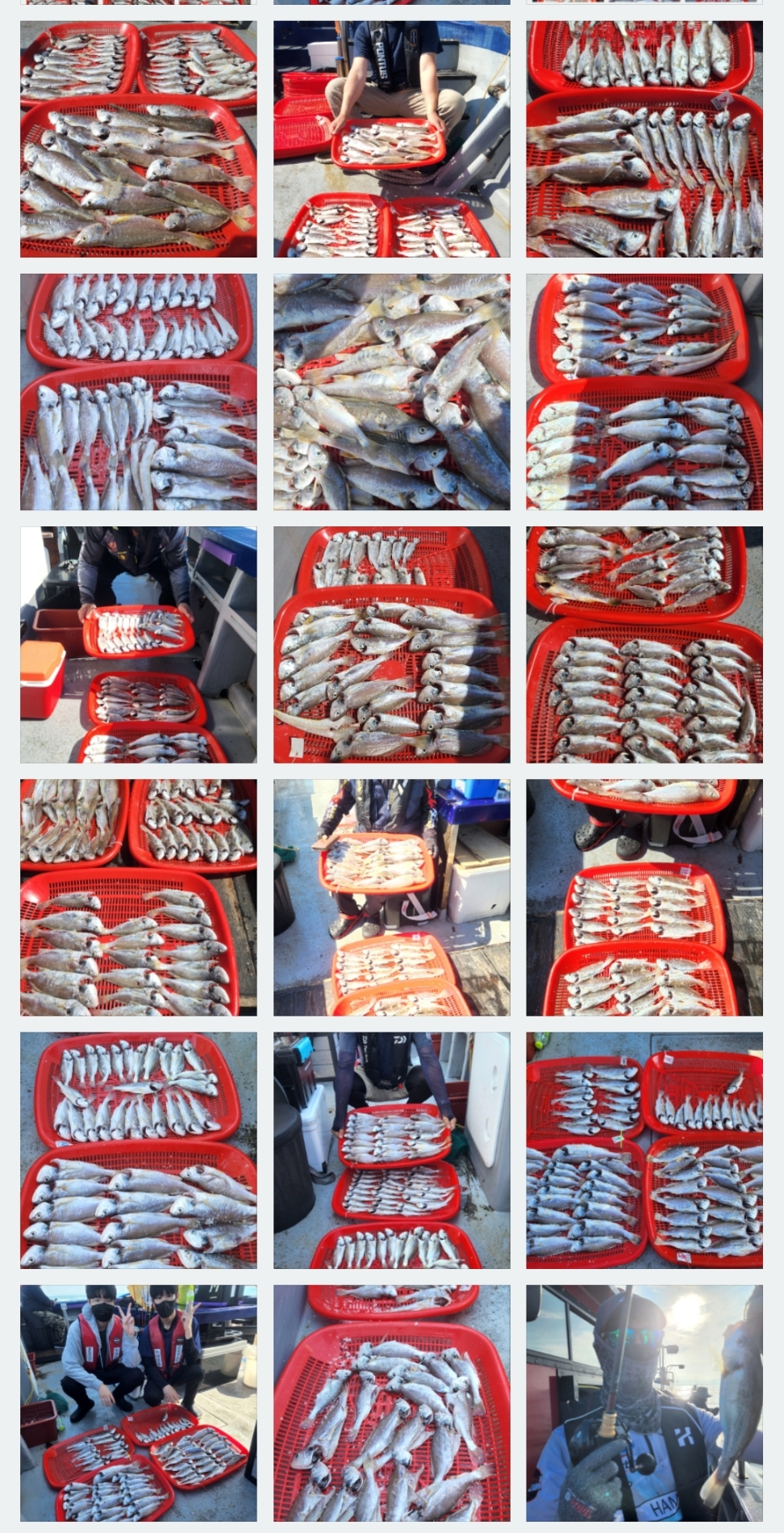 7월2일 뉴대성호 백조기조황