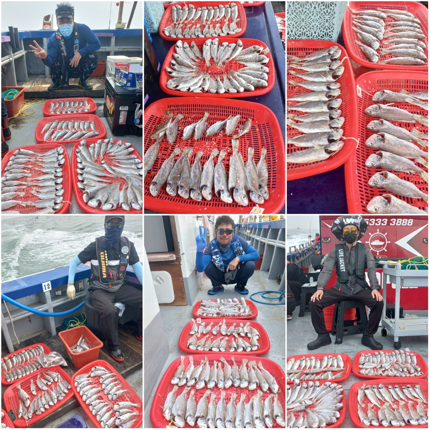 7월 10일 뉴대성호 백조기 조황